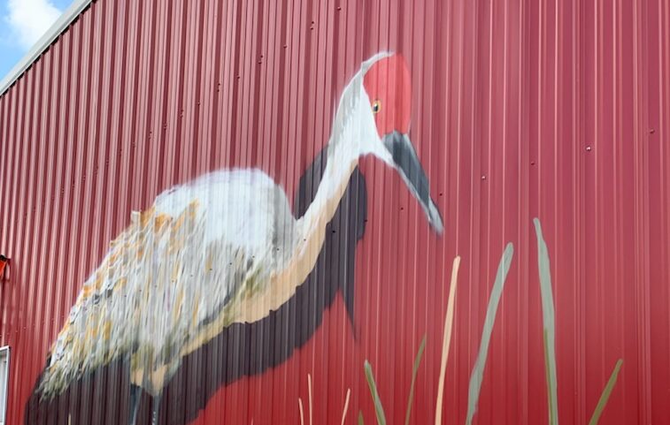 Thumbnail for the post titled: Medaryville Crane Mural Dedication set for Oct. 9, 2021